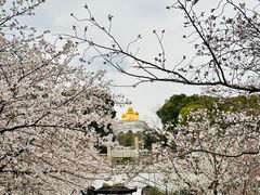 -苏州上方山国家森林公园