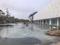 -罗红摄影艺术馆