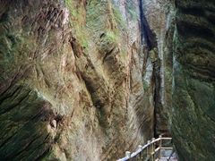 -牛背梁国家森林公园