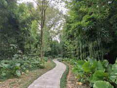 -福建鲤鱼洲酒店