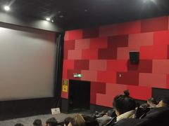 -华联影城(蒙城路店)