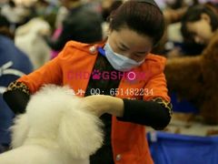 -家有小宠宠物美容(双楠街店)