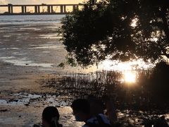 -宝安西湾红树林湿地公园