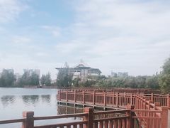 -五缘湾湿地公园
