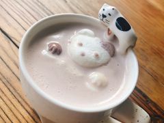 -吉丁鸟咖·异宠·寄养