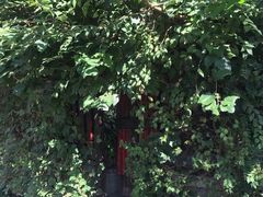 -斯多格书乡(北京大学畅春园店)