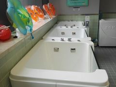 -亲亲袋鼠托育早教·思维专注力·棕熊英语(鼓楼恒力城店)