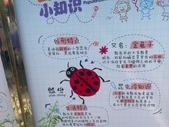 -菊园百果园