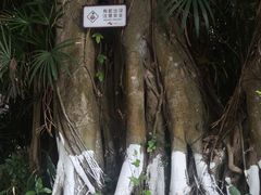 -珠海圆明新园