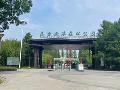 -黄海国家森林公园