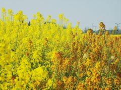 -中国天府农业博览园