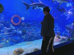 -烟台海昌鲸鲨海洋公园