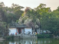 -深圳国际园林花卉博览园