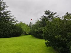 -棒棰岛宾馆景区