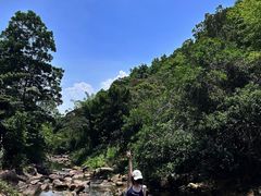 -广州白江湖森林公园