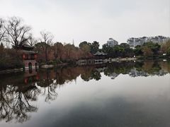 -棠湖公园