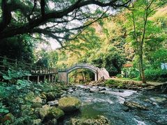 -广州市石门国家森林公园