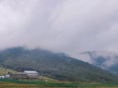 -灵山