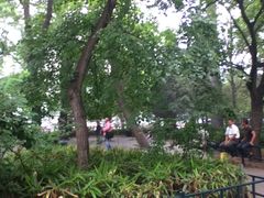 -紫竹院公园冰场
