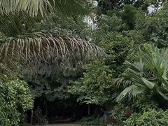 -西双版纳傣族园