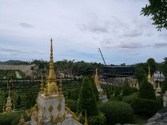 -东芭乐园
