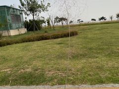 -青岛金沙滩