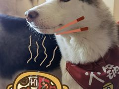 -Husky Go! 哈士奇体验馆·宠物咖啡厅狗咖
