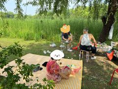 -田园东方蜜桃村的田野营地