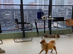 -怪兽屋·羊驼·猫咖·狗咖(俊华广场店)