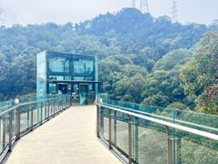 -巴倒烫陆派火锅山庄(南山总店)
