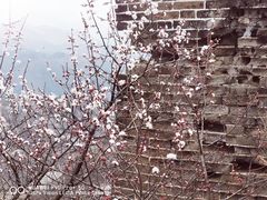 -蟠龙山长城景区