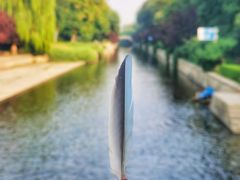 -元大都城垣遗址公园