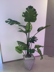 -马克叔叔的照相馆(东门店)