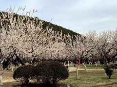 -云龙湖旅游景区