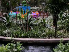 -南宫五洲植物乐园