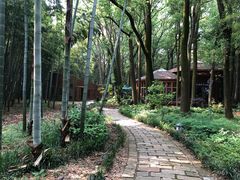 -同里国家湿地公园