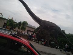 -陕西自然博物馆