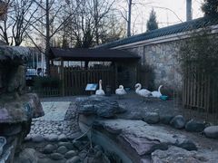 -北京市海淀外国语实验学校