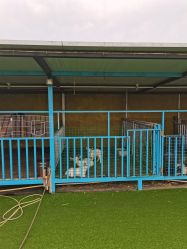 -小蜜蜂农场(凯德七宝购物广场店)