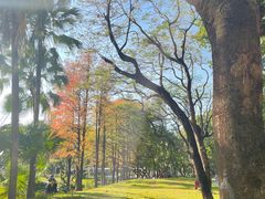 -人民公园(罗湖区)