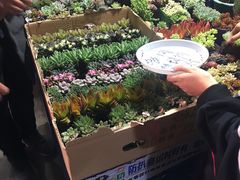 -大学城夜市大排档(凤栖路店)