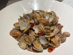 辣炒小蛤蜊-船歌·鱼水饺青岛菜(闽江二路店)