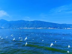 -海埂大坝