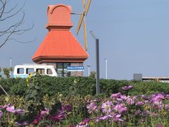 -杭州湾海上花田景区