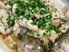 葱油鲈鱼-粤·向群饭店(龙津东路总店)