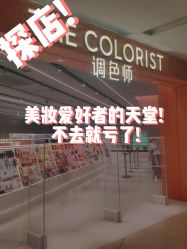 -THE COLORIST调色师
