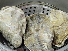 -大孩龙虾(体育场旗舰店)