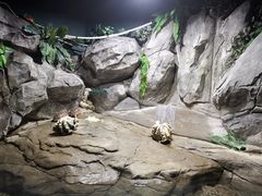 -苏州海洋馆