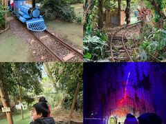 -呀路古热带植物园