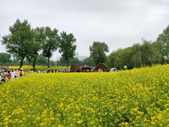 -长白岛森林公园